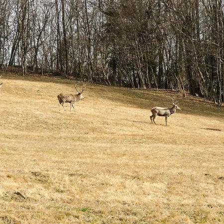 La Risorta 公寓 Cesiomaggiore