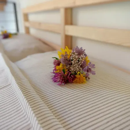 La Risorta Cesiomaggiore