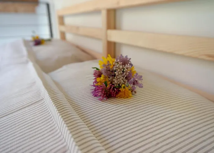 La Risorta Cesiomaggiore